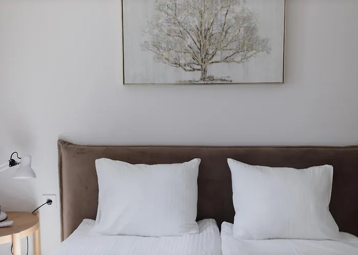 公寓 科诺尔套房&公寓 *