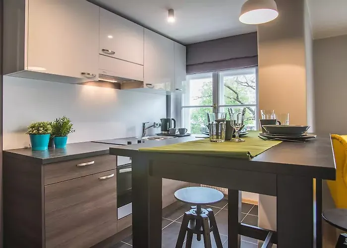 科诺尔套房&公寓 公寓 里加