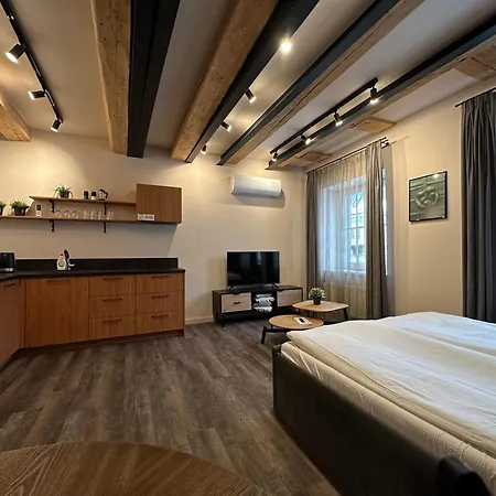 Apartman Colonel &